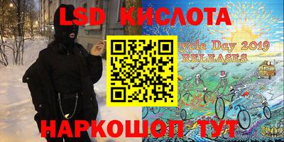 молекула духа Заволжье