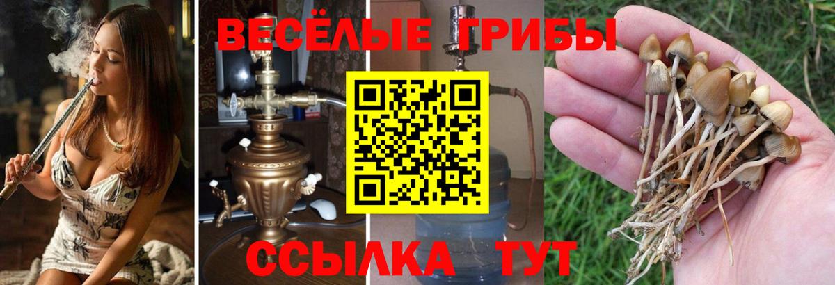 Галлюциногенные грибы ЛСД Ливны